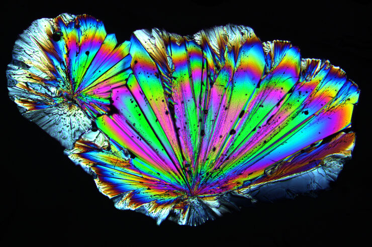 Radially grown sugar crystals which have been imaged with a Leica microscope using circular polarized light.